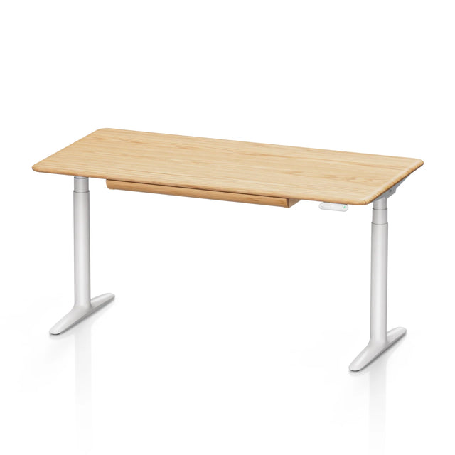 sit stand desk electric