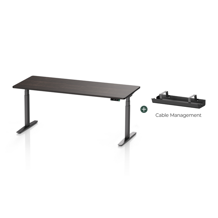 Pesk Dual Motors Melamine Home Office Electric Standing Desk