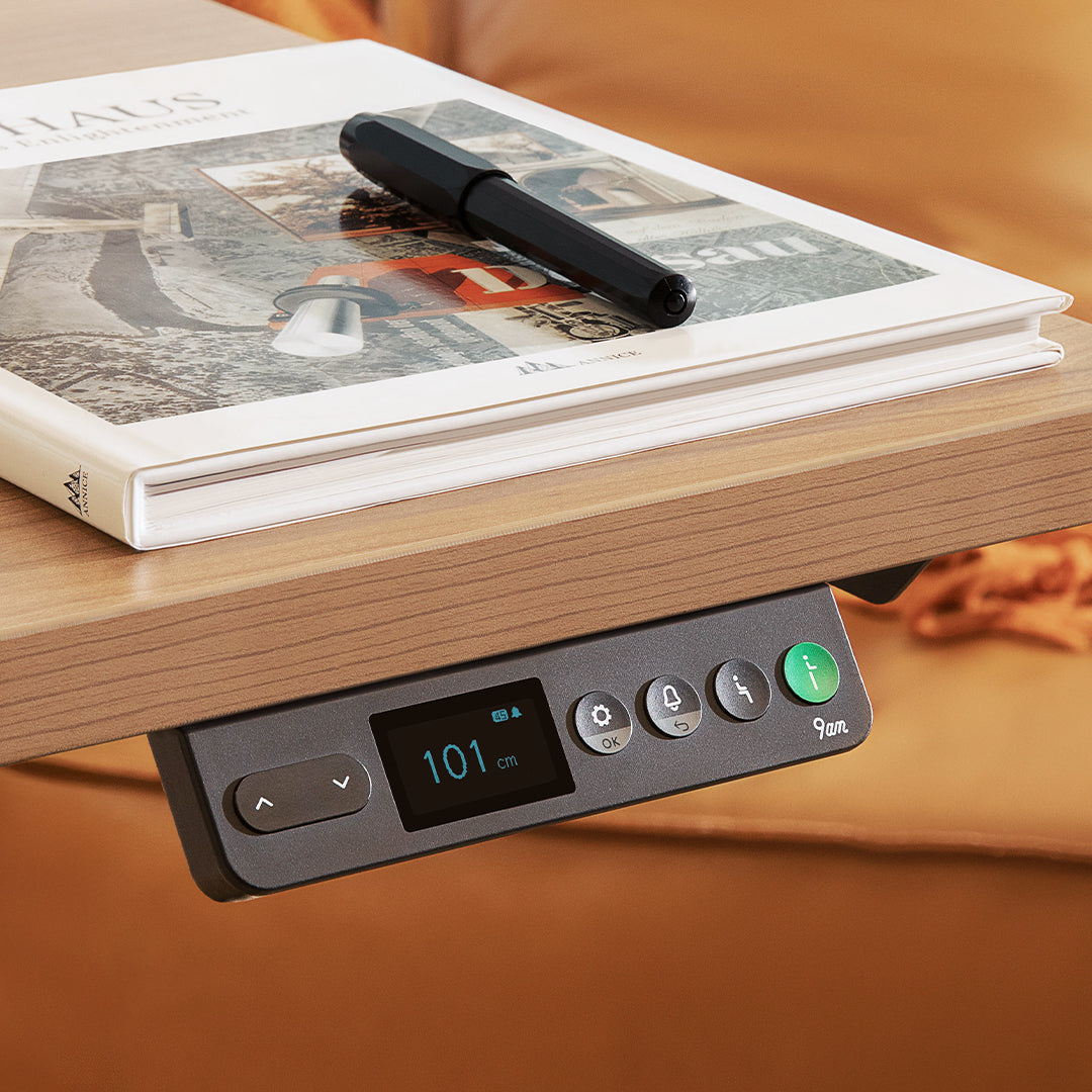 Pesk Dual Motors Melamine Home Office Electric Standing Desk