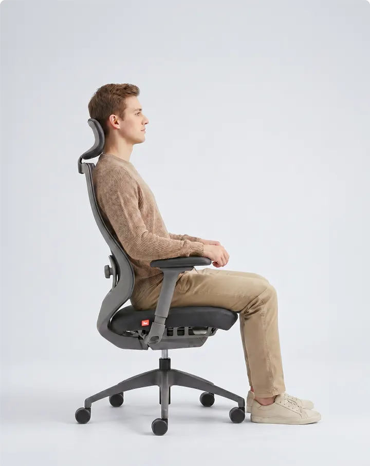 The Chair & Your Spine