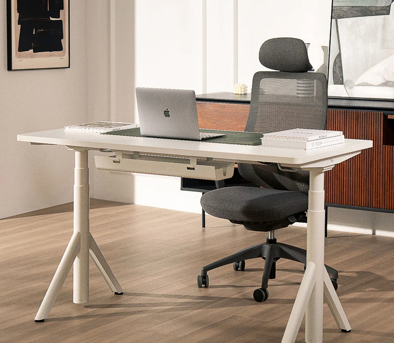 Robin Pro Ergonomic Chair Set