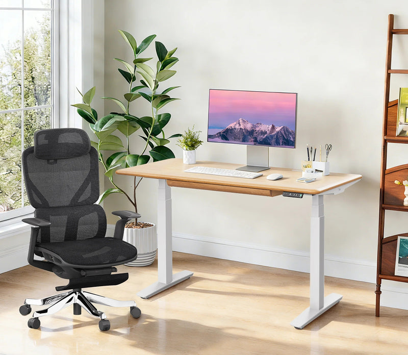 Pesk Pro and Ergonomic Chair Set
