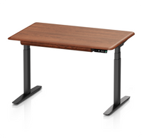 Pesk Pro Hardwood Home Office Electric Standing Desk