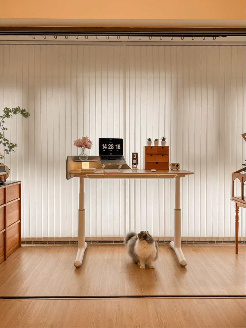 Your Complete Guide to the Dora Pro Modern Smart Desk