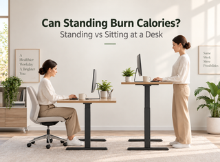 Standing vs sitting desk calorie comparison