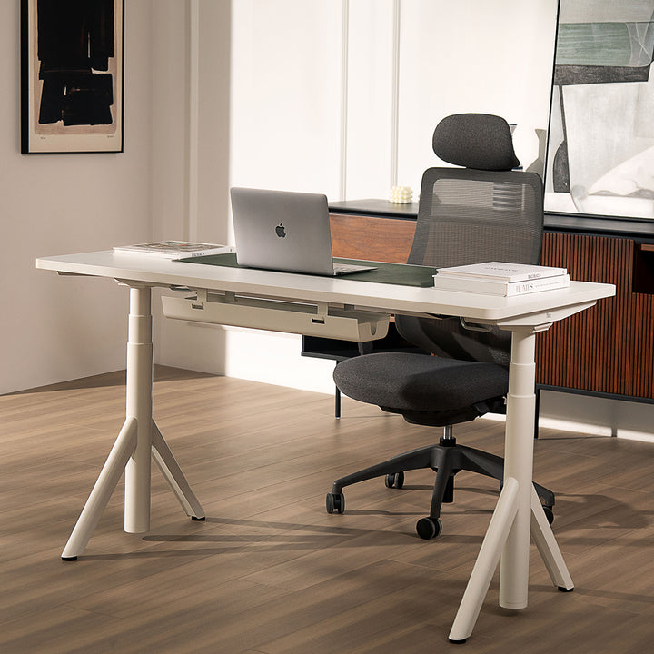 Robin Pro Dual Adjustable Melamine Home Sit Standing Desk