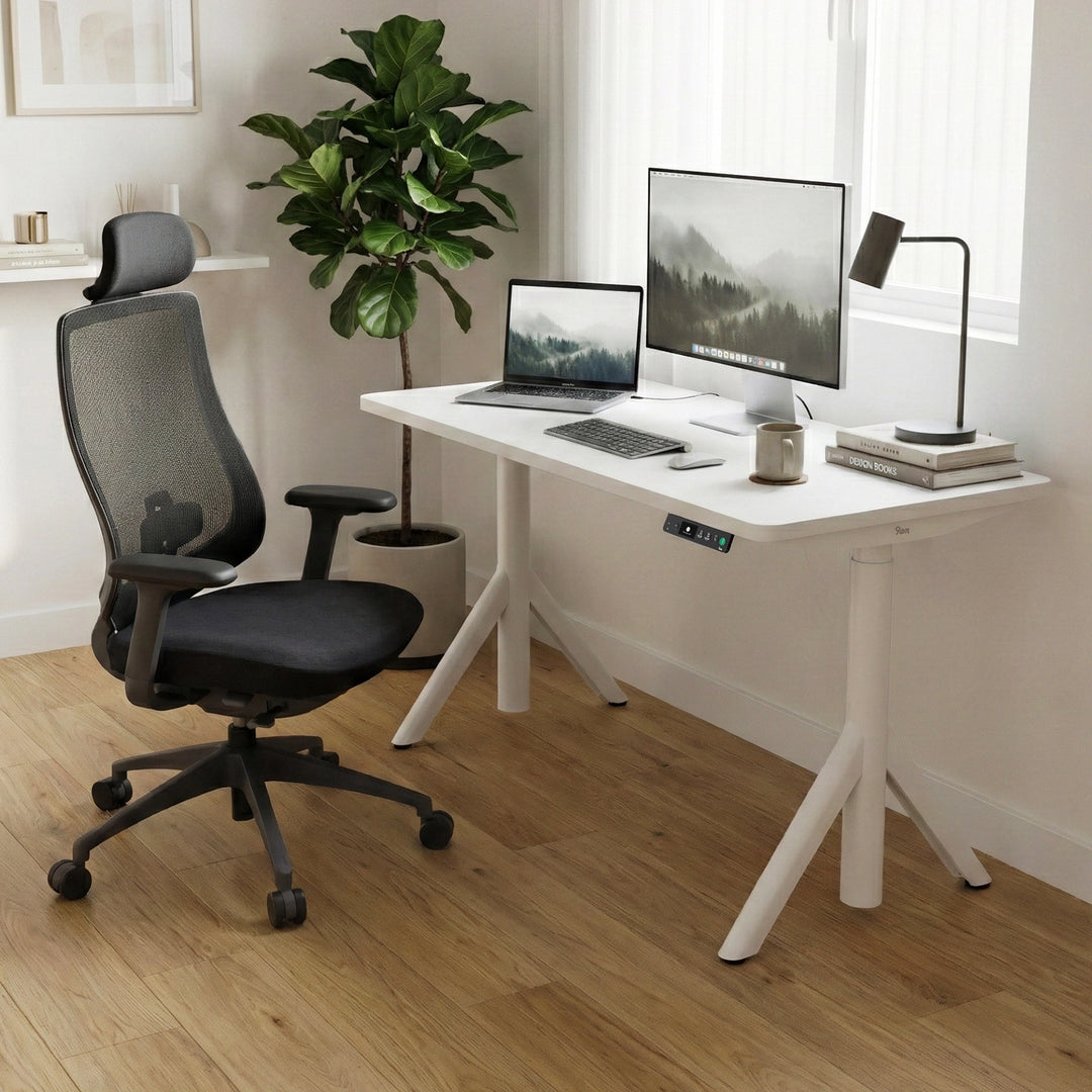 Robin Standing Desk and Newton Ergonomic Chair Set