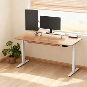 Pesk Pro Complete Ergonomic Standing Desk Setup