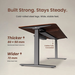 Pesk Pro Hardwood Home Office Electric Standing Desk