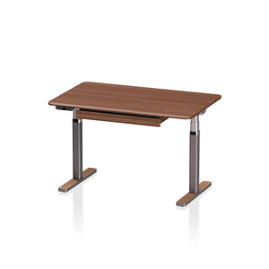 Arco Hardwood Veneer Electric Standing Desk