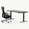 Classic Pesk Standing Desk and Galileo Chair Set