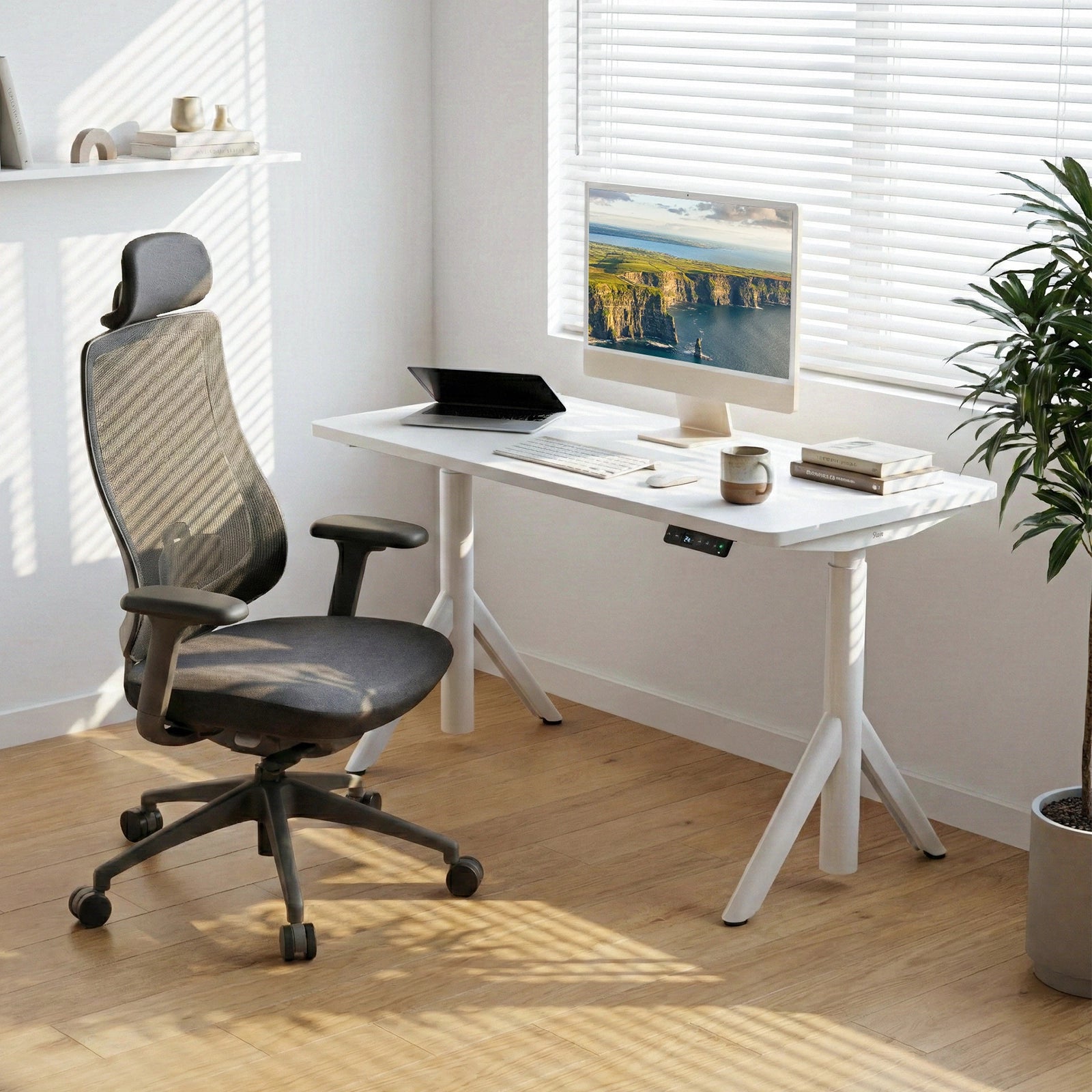 Robin Standing Desk and Newton Ergonomic Chair Set