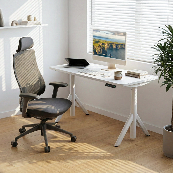 Robin Standing Desk and Newton Ergonomic Chair Set