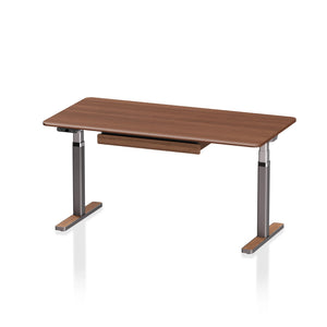 Arco Hardwood Veneer Electric Standing Desk