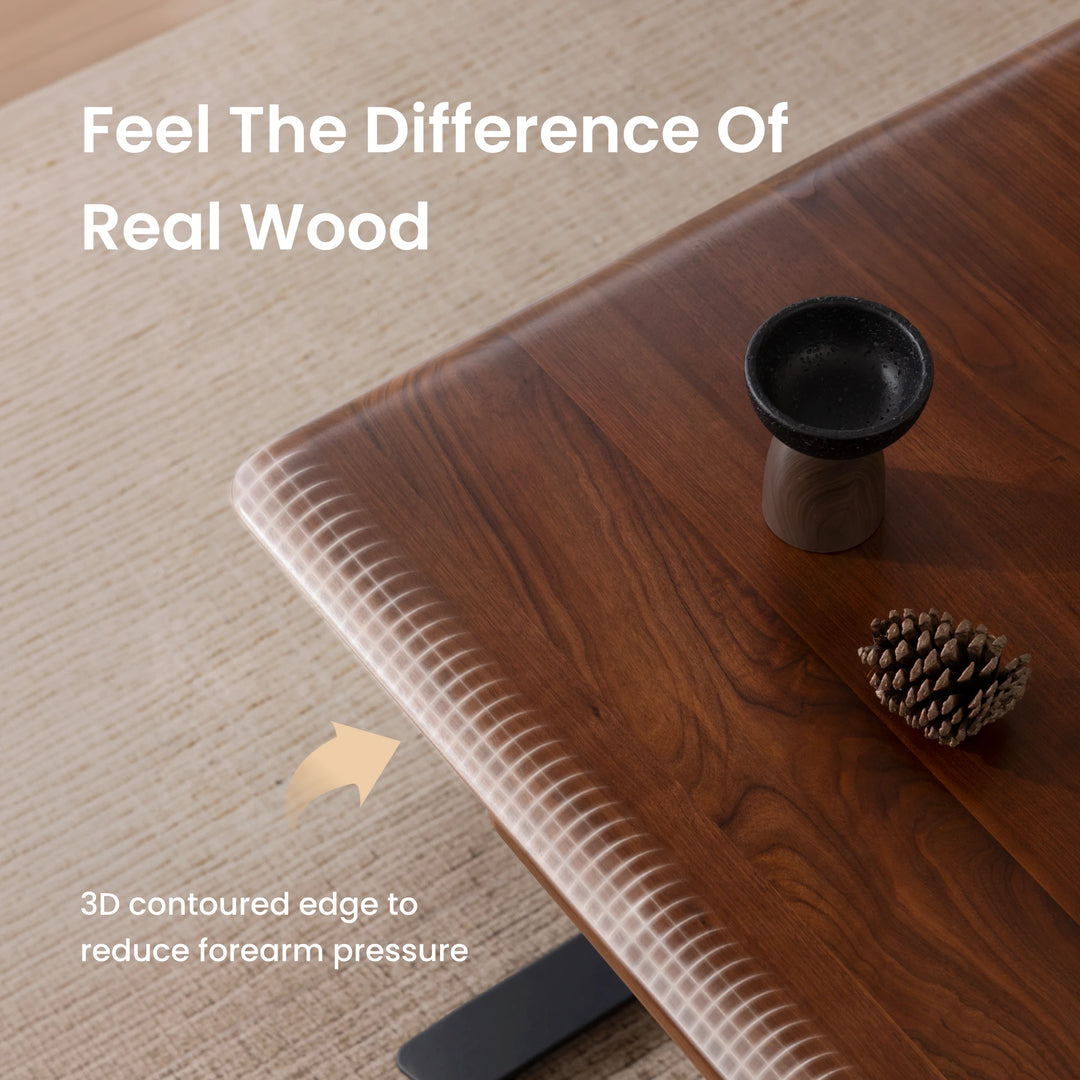 Pesk Pro Hardwood Home Office Electric Standing Desk