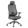 Newton Computer Gaming Office Home Ergonomic Chair