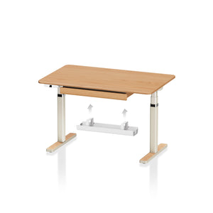 Arco Hardwood Veneer Electric Standing Desk