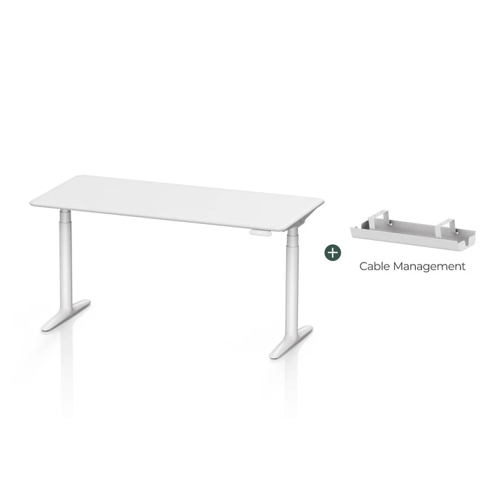 Atom Series Dual Motors Home Office Stand Up Desk