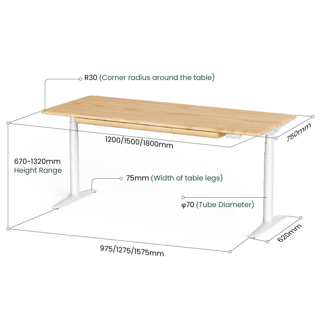Atom Pro Ash Home Office Electronic Standing Desk