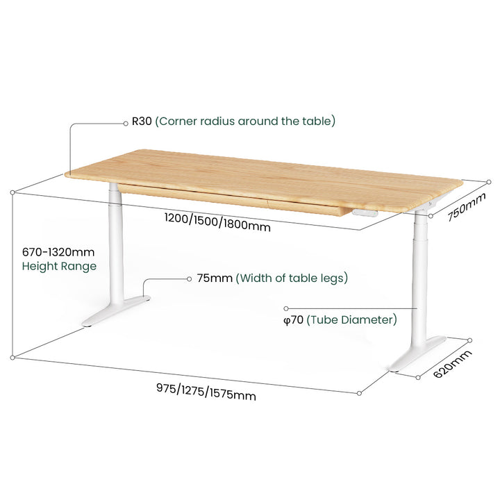 Atom Pro Ash Home Office Electronic Standing Desk
