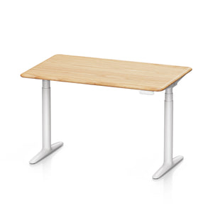 Atom Series Dual Motors Home Office Stand Up Desk
