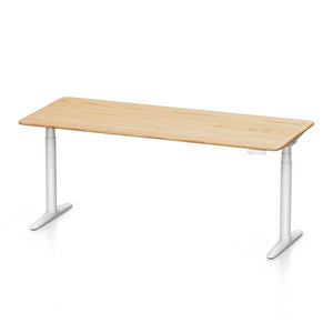 Atom Series Dual Motors Home Office Stand Up Desk
