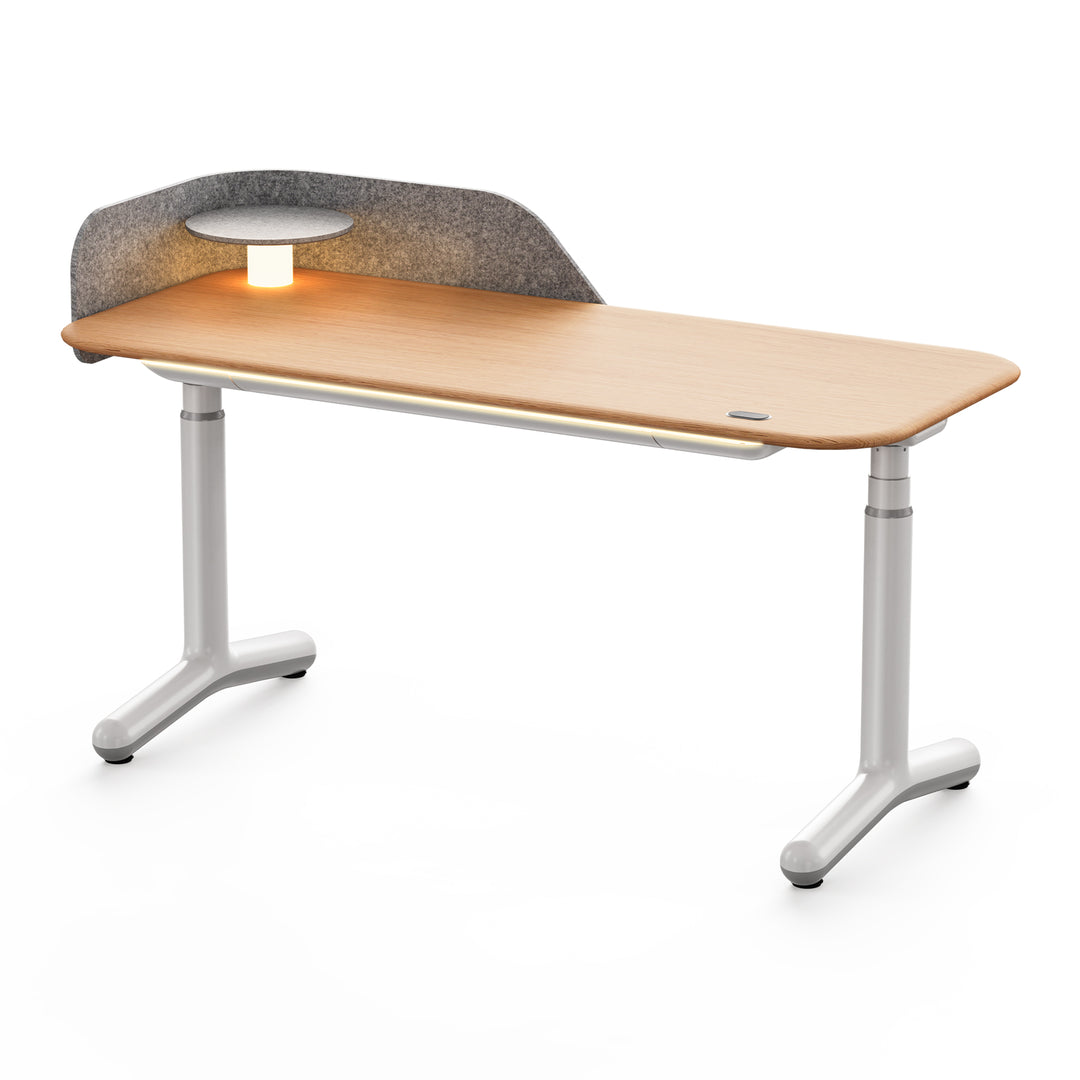 Dora Pro Modern Smart Electric Standing Desk