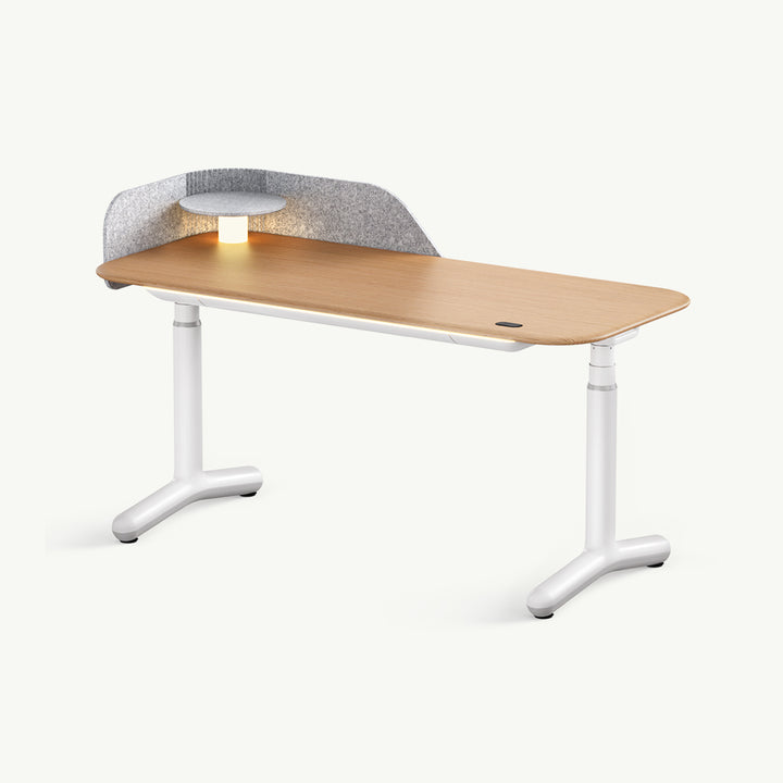 Dora Pro Modern Smart Electric Standing Desk