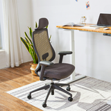 Ergonomic Chairs