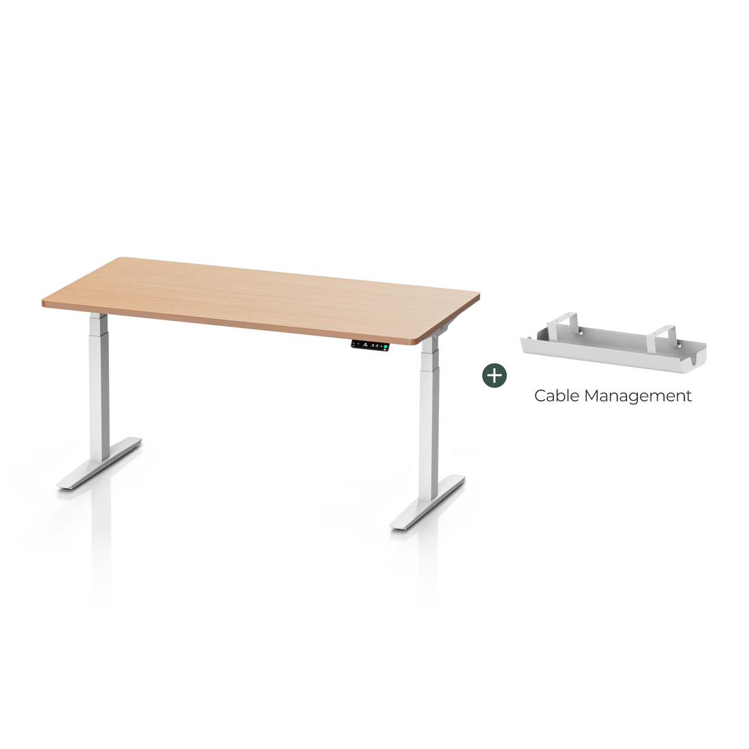 Pesk Dual Motors Melamine Home Office Electric Standing Desk