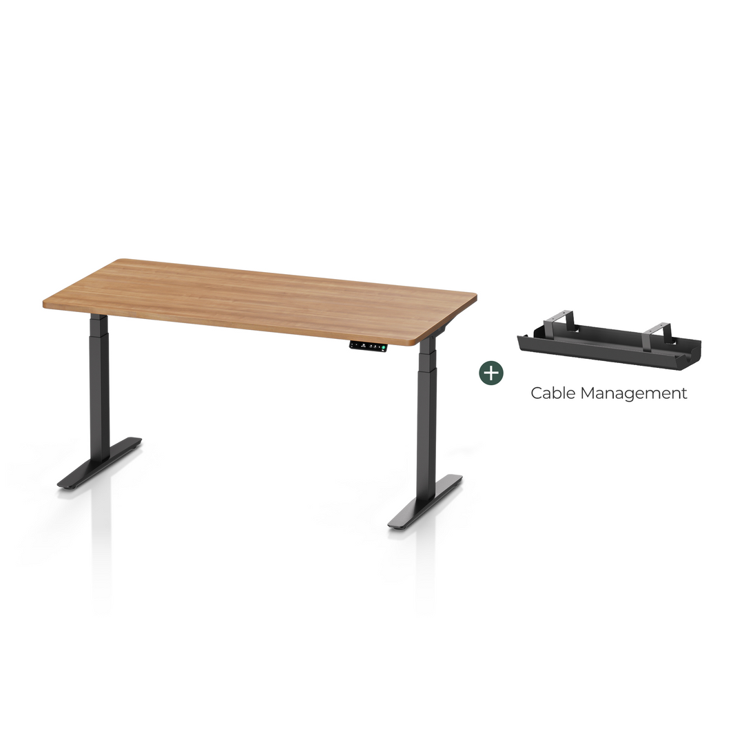 Pesk Dual Motors Melamine Home Office Electric Standing Desk