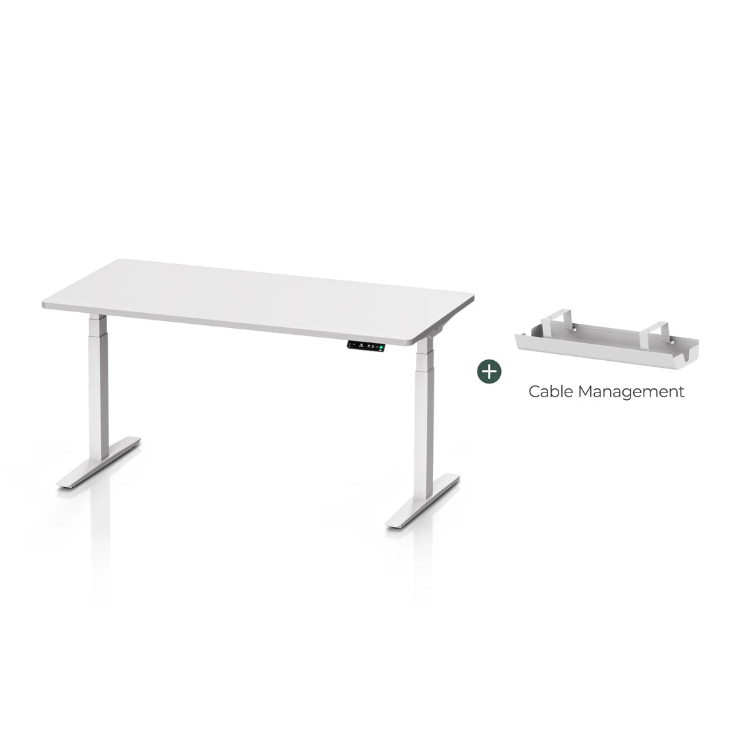 Pesk Series Bosch Dual Motor Smart Electric Standing Desk