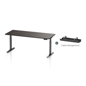 Pesk Dual Motors Melamine Home Office Electric Standing Desk