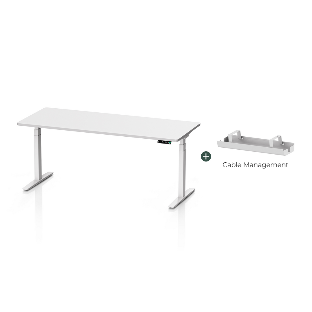 Pesk Dual Motors Melamine Home Office Electric Standing Desk