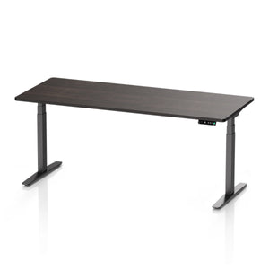 Pesk Series Bosch Dual Motor Smart Electric Standing Desk