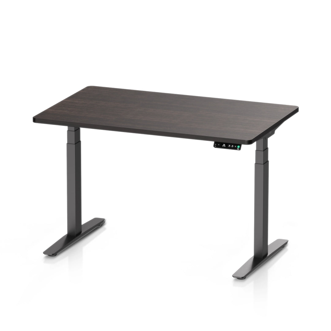 Pesk Dual Motors Melamine Home Office Electric Standing Desk