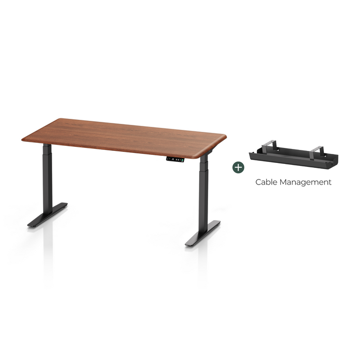 Pesk Pro Hardwood Home Office Electric Standing Desk