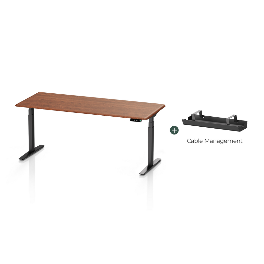 Pesk Pro Hardwood Home Office Electric Standing Desk