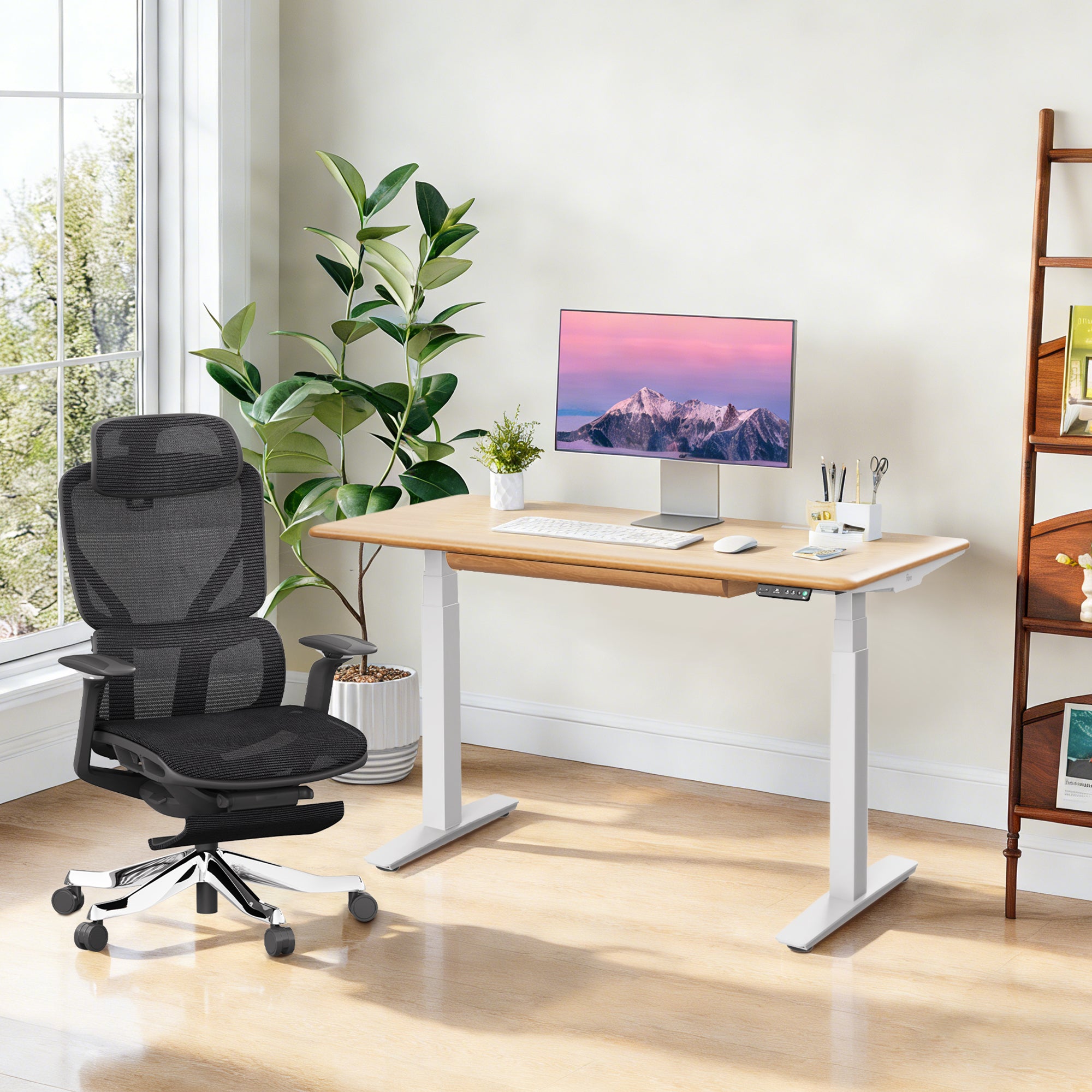 Hardwood Standing Desk & Ergonomic Chair Set