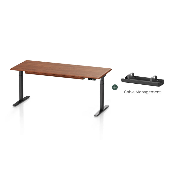 Pesk Pro Hardwood Home Office Electric Standing Desk