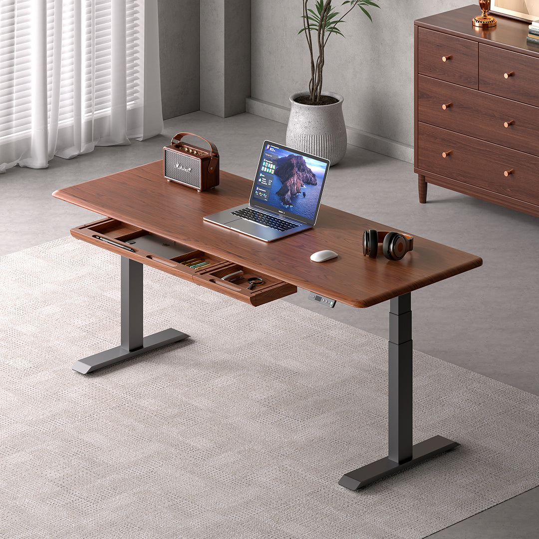 Pesk Pro Hardwood Home Office Electric Standing Desk