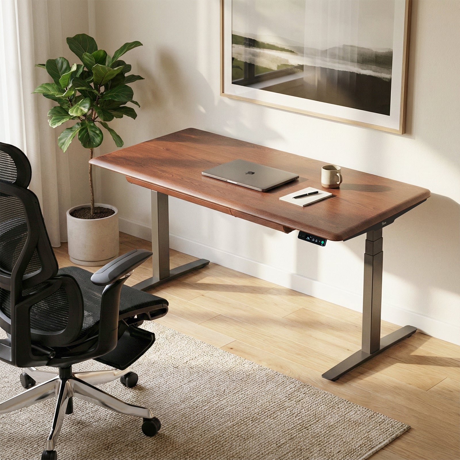 Pesk Pro Hardwood Home Office Electric Standing Desk