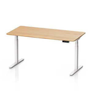 Pesk Series Bosch Dual Motor Smart Electric Standing Desk