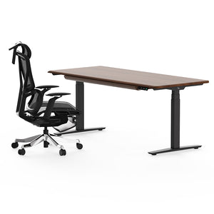 Hardwood Standing Desk & Ergonomic Chair Set