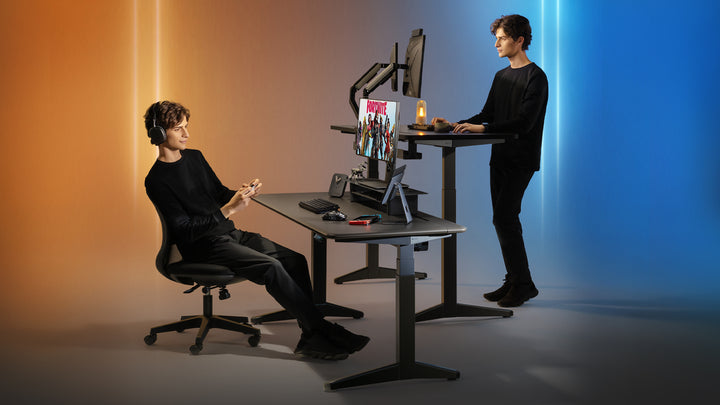Raven Gaming Computer Electric Sit Stand Desk