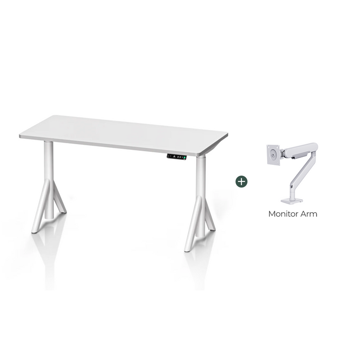 Robin Complete Ergonomic Standing Desk Setup