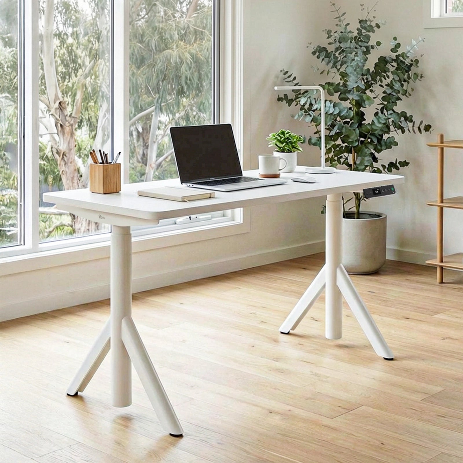 Robin dual motor electric standing desk