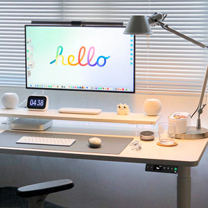 Robin Sit Stand Desk with Monitor Setup and Smart Health Controller