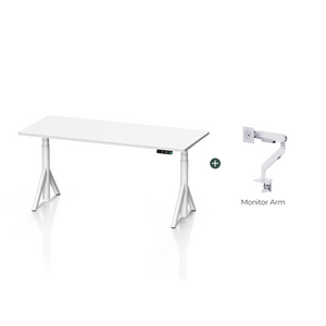 Robin Pro Complete Ergonomic Standing Desk Setup
