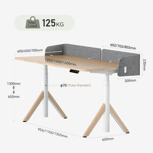 dual motor sit stand desk